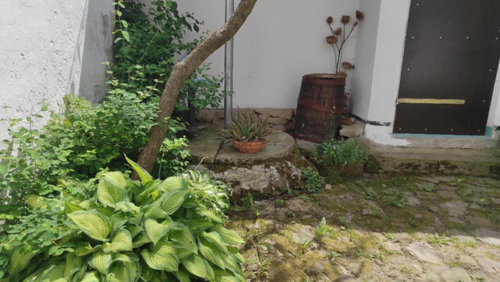 Ubytovani Pod Jilmem Zar Exterior foto